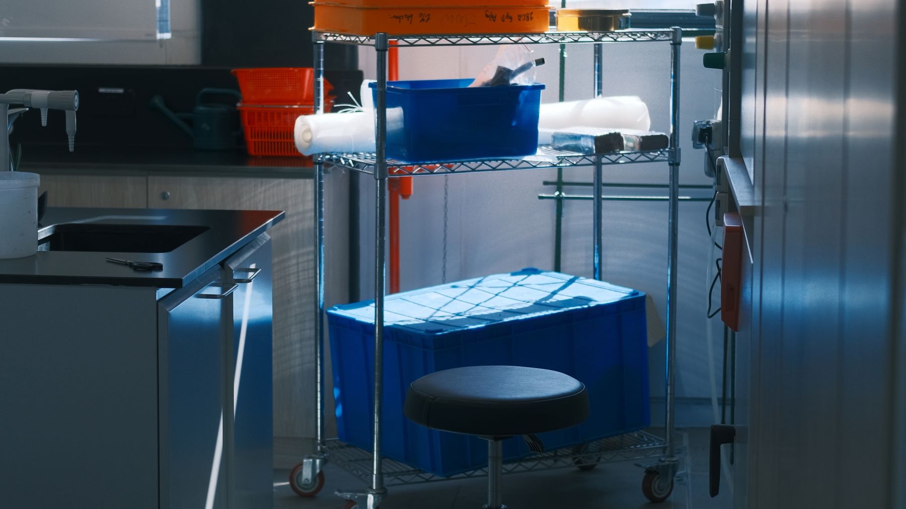 Theertha Biopharma biologics pipeline