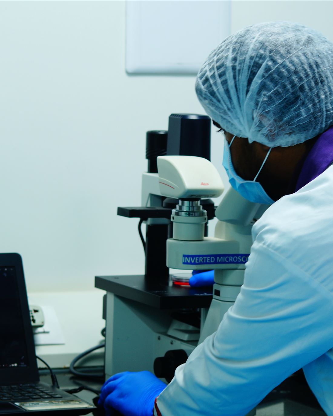 Clone development at Theertha Biopharma